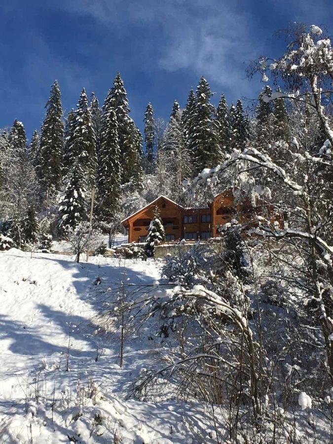 Privatna Sadiba Chalet Oryavchyk Ngoại thất bức ảnh